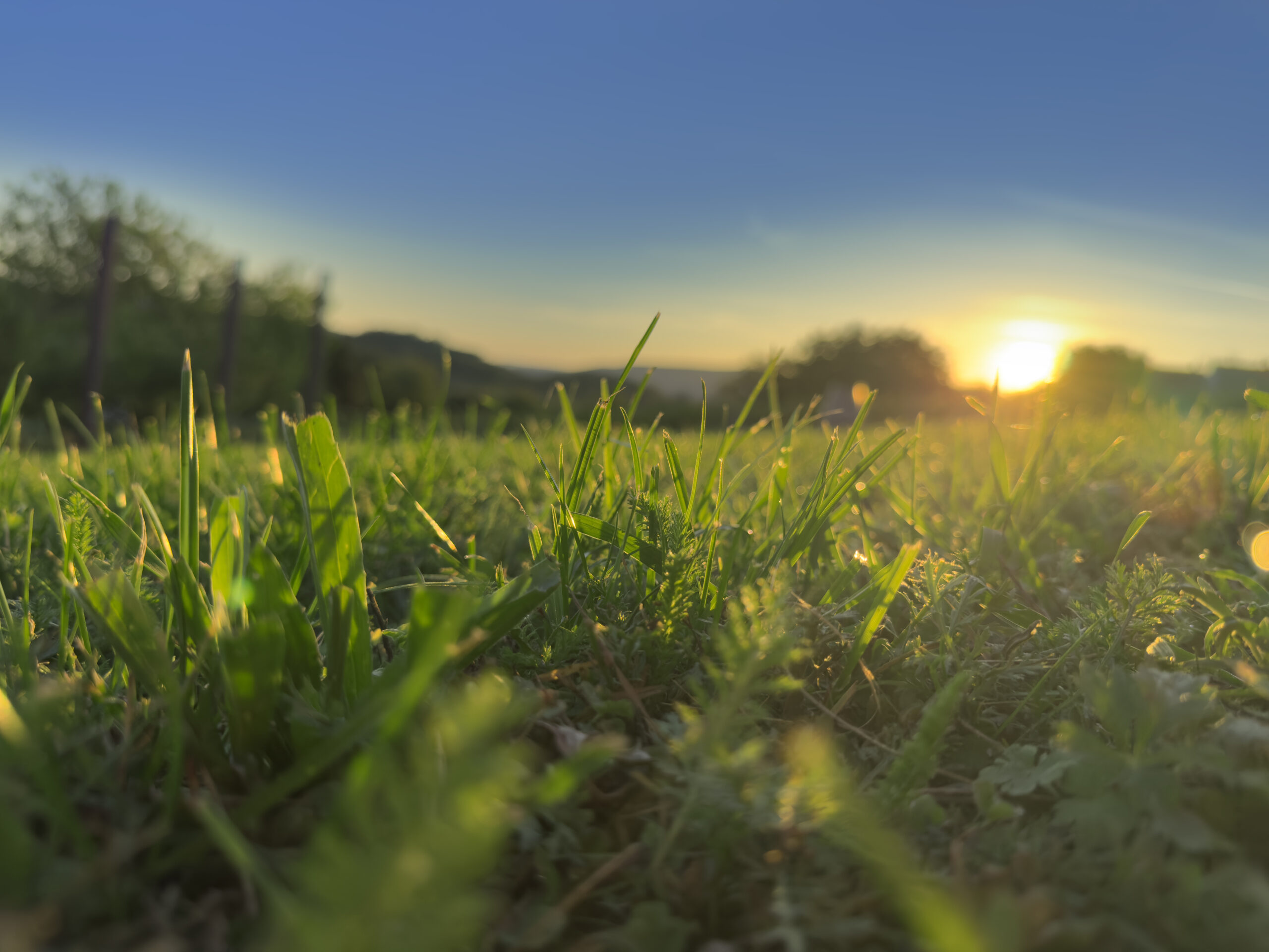 Kirándulások Badacsony környékén