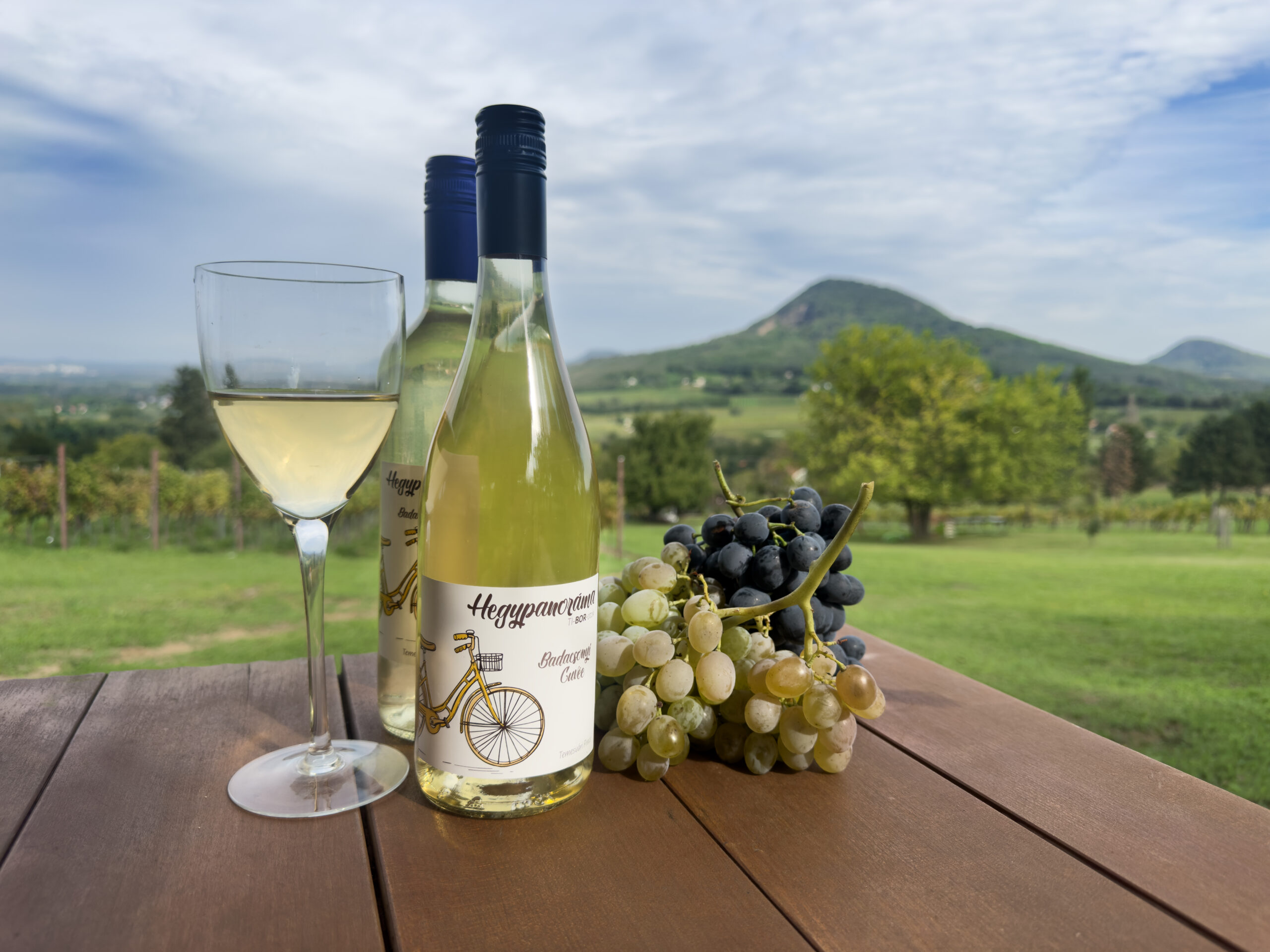 Kirándulások Badacsony környékén